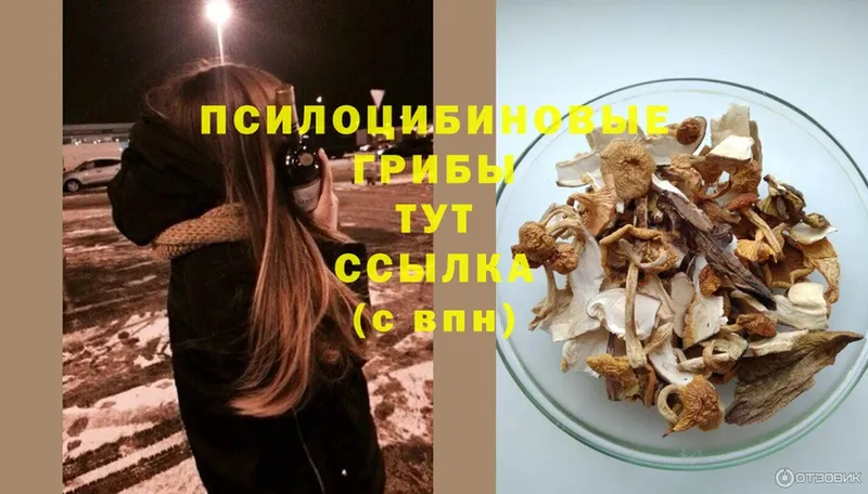 Псилоцибиновые грибы Magic Shrooms  Петушки 